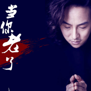 当你老了吉他谱带指法