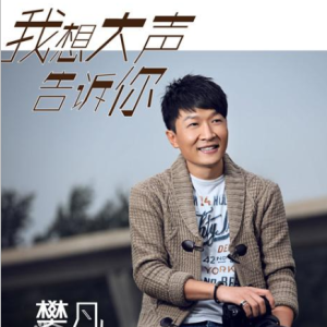 让风告诉你日语吉他谱