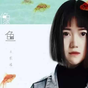 像鱼吉他谱17网