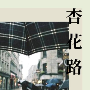 杏花巷吉他谱