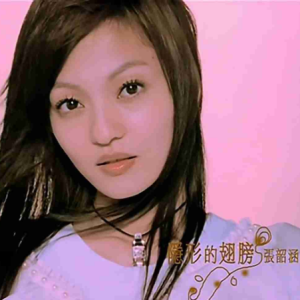 隐形的翅膀记吉他谱