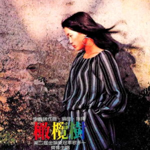 希望树吉他谱刘寅