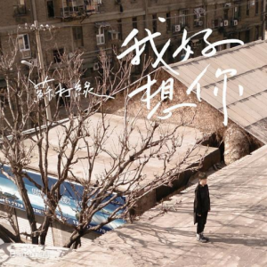 我又想你了歌词吉他谱