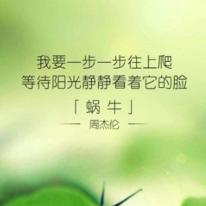 蜗牛与黄鸟鹂吉他谱