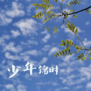 少年锦时电子吉他谱