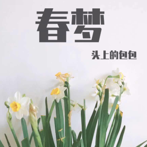 单车吉他谱入门级包包