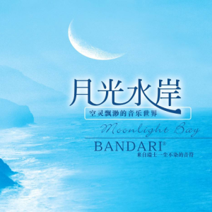河上月光 吉他谱