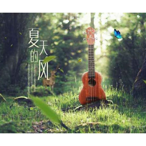 夏天的风歌谱吉他谱