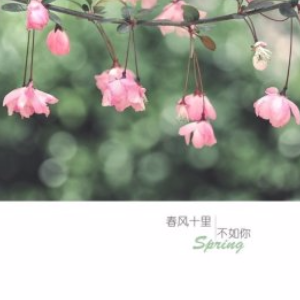 春风十里 孟大宝吉他谱