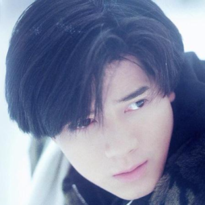 望乡 郭富城吉他谱