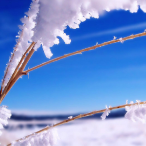 初雪-钢琴谱