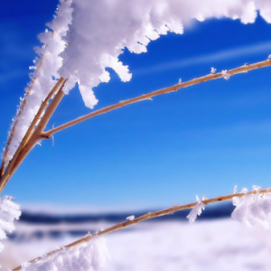 The First Snowflakes钢琴简谱 数字双手