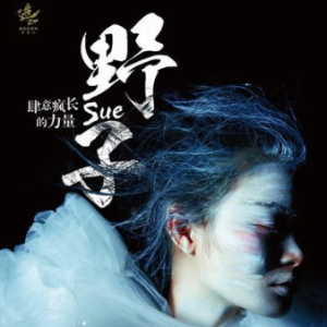 西凉璠子吉他谱山雨