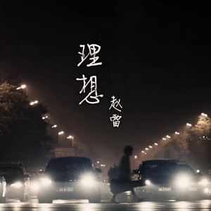 理想赵雷吉他谱c调