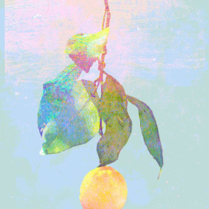 非自然死亡主题曲lemon曲谱-钢琴谱