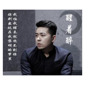 醒着醉刘大壮版的吉他谱