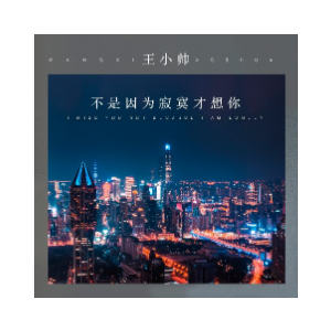 因为寂寞才想你吉他谱原谱