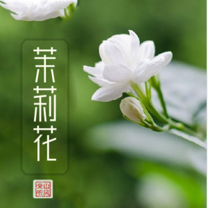 茉莉花钢琴谱