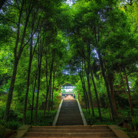 半山听雨-双手简谱