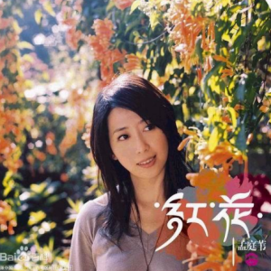 mai红花会