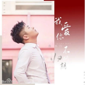莫问归期吉他谱简单版c调