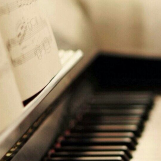 肖邦海洋练习曲 Op.25 No.12钢琴简谱 数字双手
