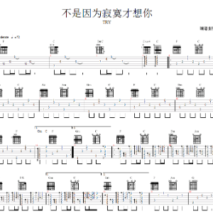 吉他谱不是因为寂寞才想你送亲