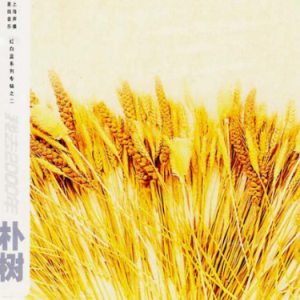 那些花儿的乐谱吉他谱