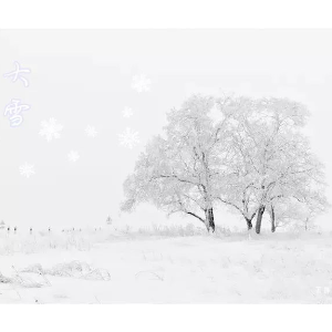 Snowdreams钢琴简谱 数字双手