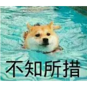 王靖雯吉他谱简单版c调