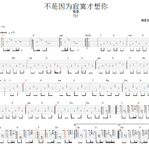 不是因为寂寞而想你男生版吉他谱