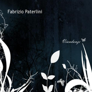 La polvere e l'incanto-Fabrizio Paterlini-钢琴谱