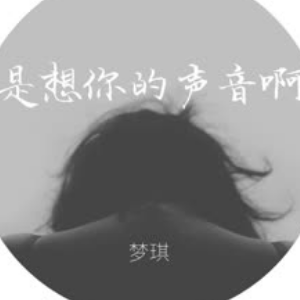 真的很想你吉他谱弹唱教学