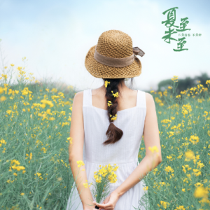 至朱丽叶吉他谱