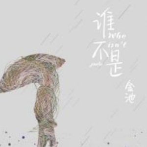 默认吉他谱金池