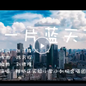 同一片蓝天下钢琴简谱 数字双手 靖哥哥