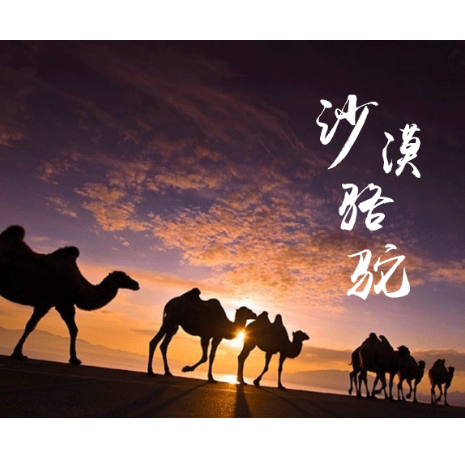 《沙漠骆驼》完美可弹谱，钢琴弹出架子鼓的感觉-钢琴谱