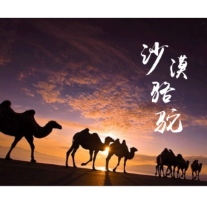 黑人抬棺-钢琴谱