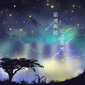 刺猬 星光 吉他谱