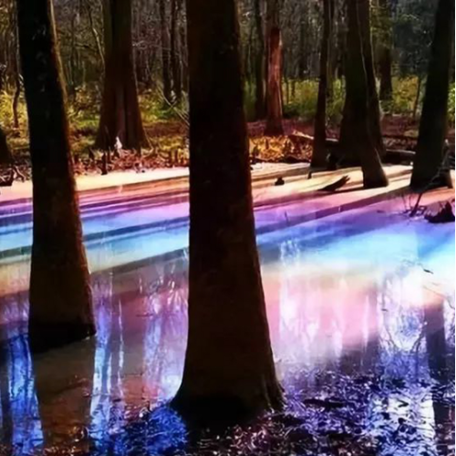 √48色の虹が映った水たまり