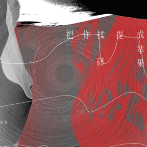 苹果 吉他谱软件