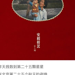 鸽子钢琴简谱 数字双手 宋冬野