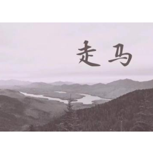 蔡宁走马吉他谱