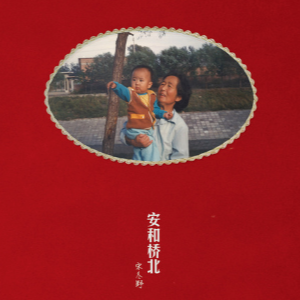宋冬野莉莉安吉他谱txt