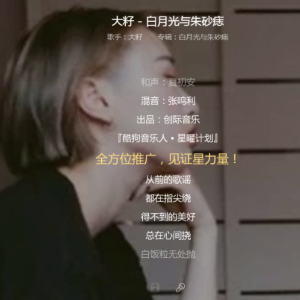 白月光吉他谱带前奏