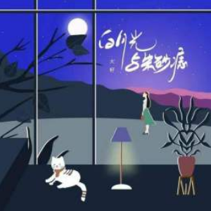 白月光+c调吉他谱