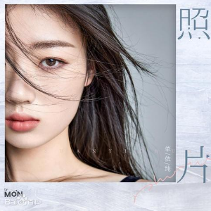 误杀2单依纯萤火虫吉他谱