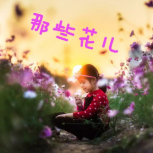 那些花儿（简单）