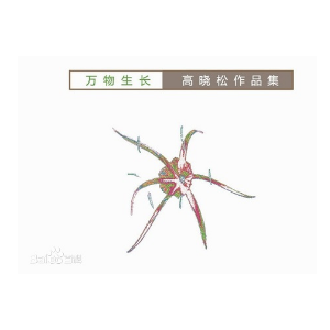 杨坤答案吉他谱e调