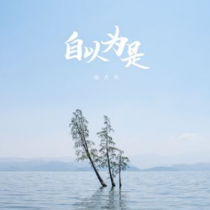 自以为是吉他谱